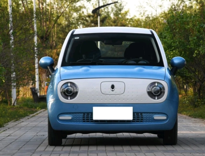 微型车女生:欧拉r1