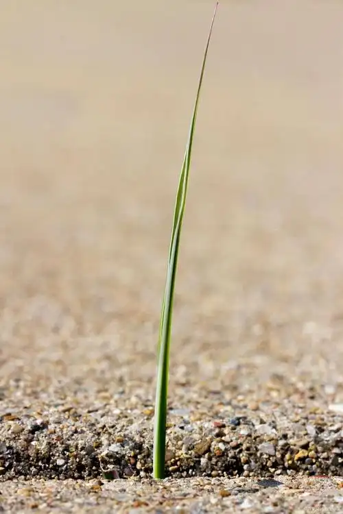 非常精致的正能量句子,简短励志,开启美好的一天