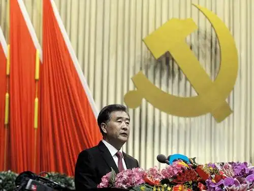 中共中央政治局委员,省委书记汪洋代表中国共产党广东省第十届委员