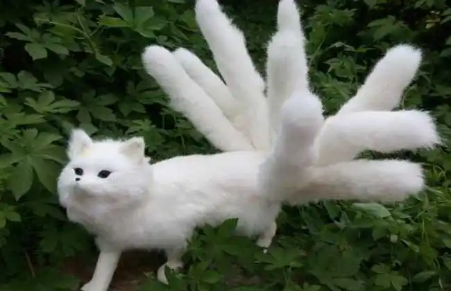 九尾狐狸真的存在吗?