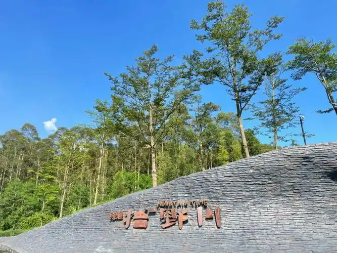 高明绿地拾野川