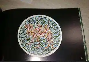 考驾照体检视力_车管所视力表大图-第1张图片-体检知音