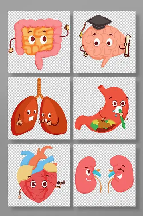 卡通医疗人体器官插画元素