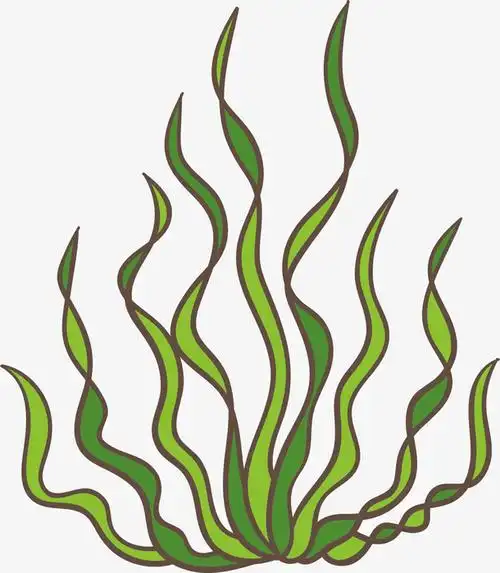 妖娆矢量卡通海草