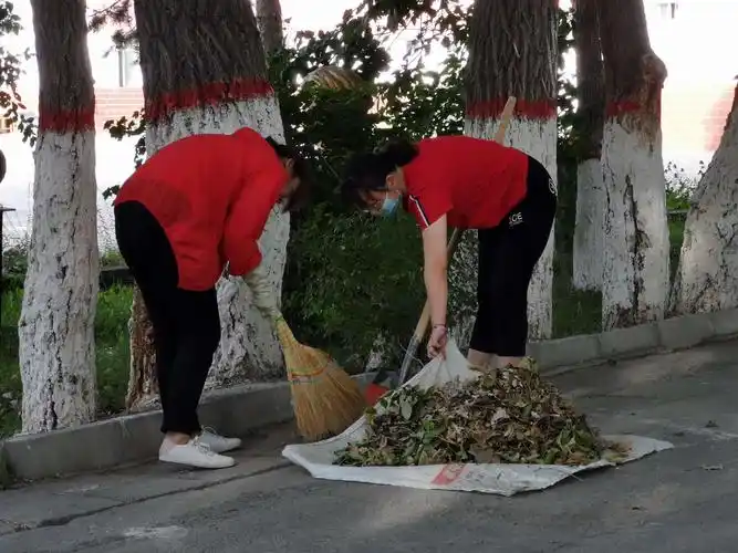 义务劳动讲奉献 校园面貌展新颜