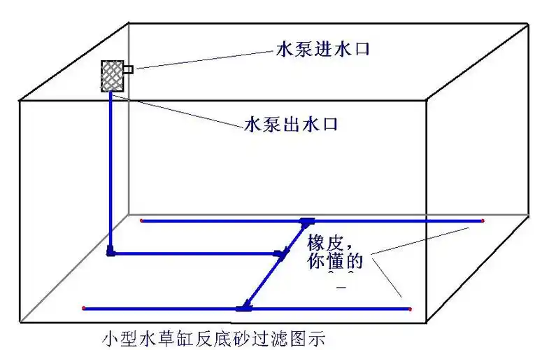 像这样的反底砂过滤会对底栖鱼有影响吗?