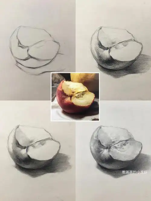 素描静物半个苹果