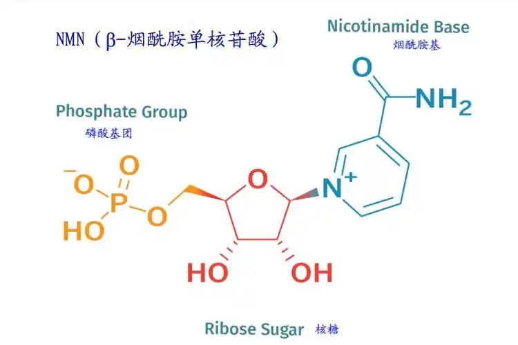 是一种自然存在的 a target="_blank" href="/item/生物活性/5773318"