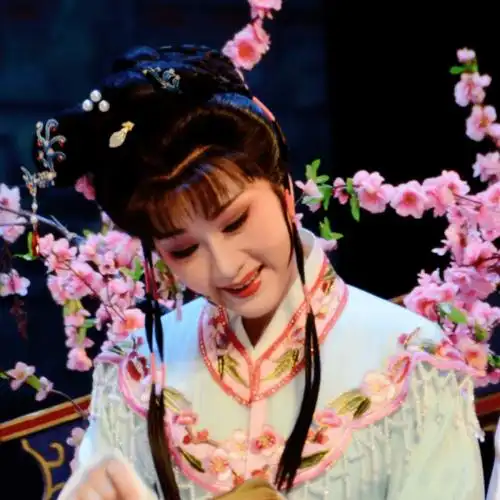 来到侨都大剧院为你再现传世经典,重温凄美动人的故事《红楼梦》中国