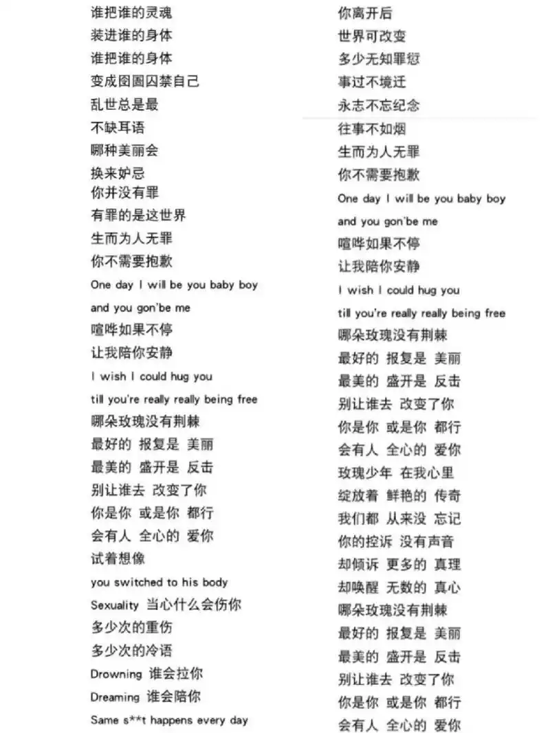 玫瑰少年歌词 爱了爱了