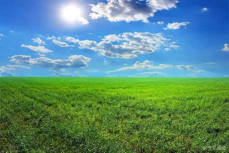草_太阳_云_漂亮_自然_白天_高清图片_全景视觉