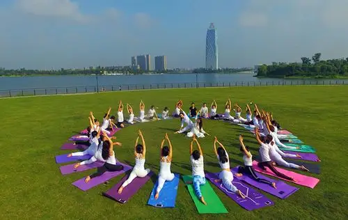 绽放的瑜伽之花