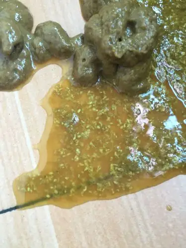 昨天和今天都吃了牛肠子炖饭,昨天拉的都还正常,今天就拉稀了,还有