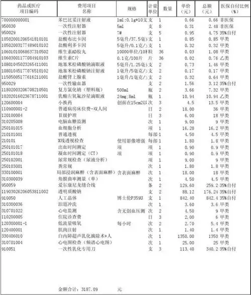 住院费用汇总清单2