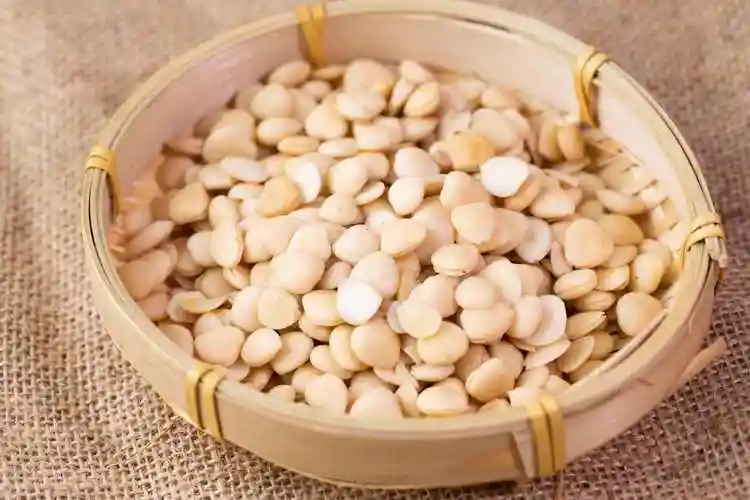 白果仁的功效与作用白果仁的功效与作用有哪些