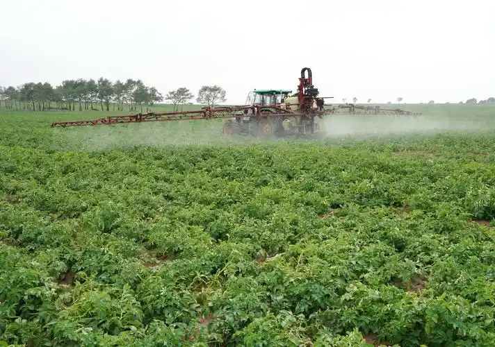 农民使用机械设备在田间给旱作马铃薯喷洒农药