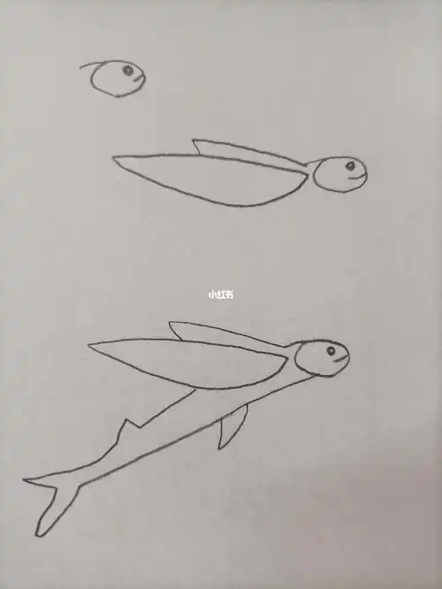 简笔画162飞鱼