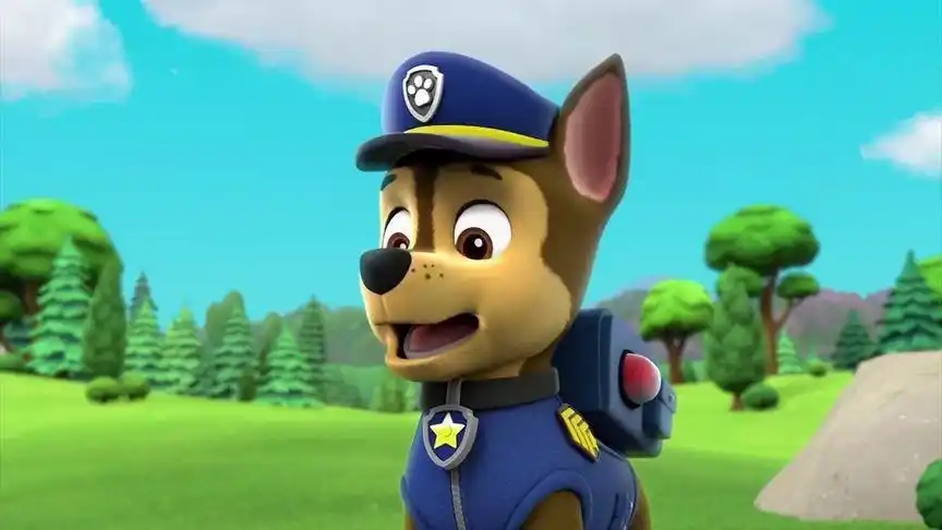 汪汪队:莱德我已经把网子固定好了,小海豚不会再往前游了