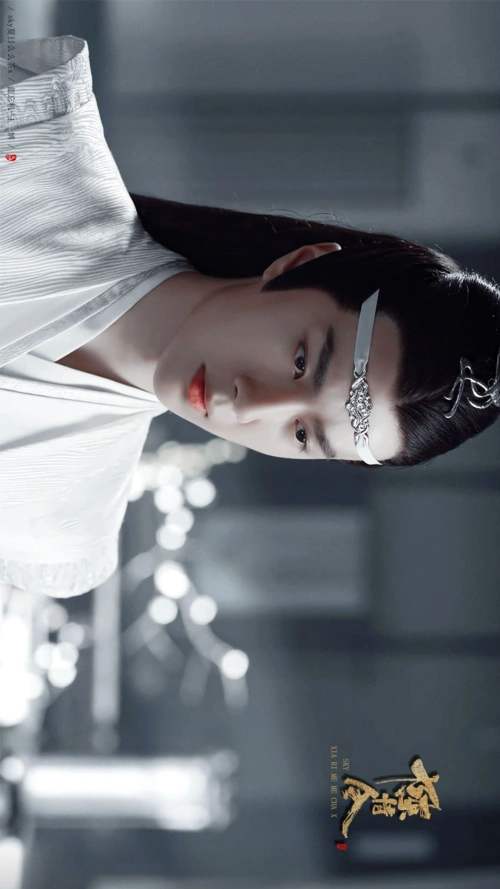 陈情令蓝忘机王一博