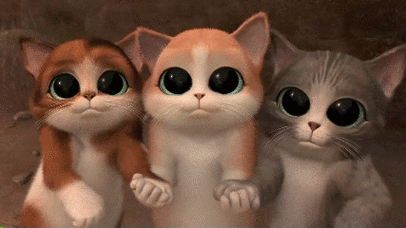 427_240gif 动态图 动图