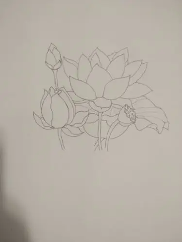 中性笔黑白画莲花