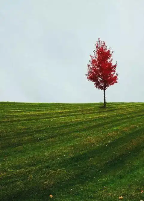 摄影分享你为何不竖构图有没有想过这么拍