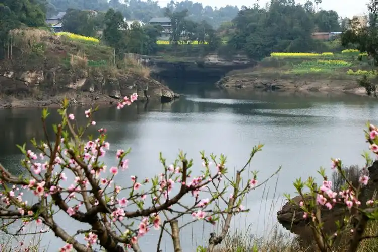 永川桃花岛看花
