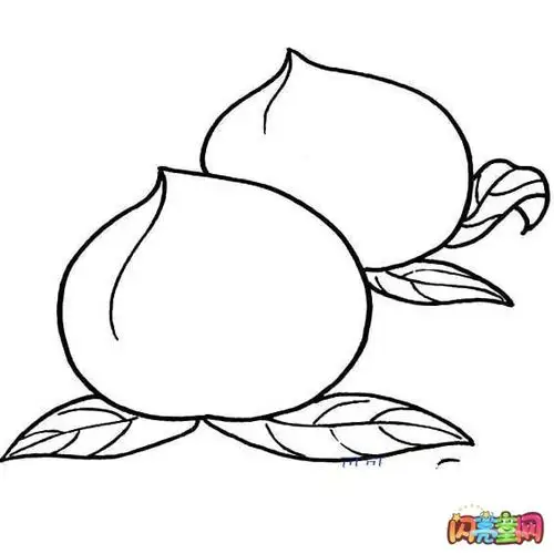 寿桃图片简笔画