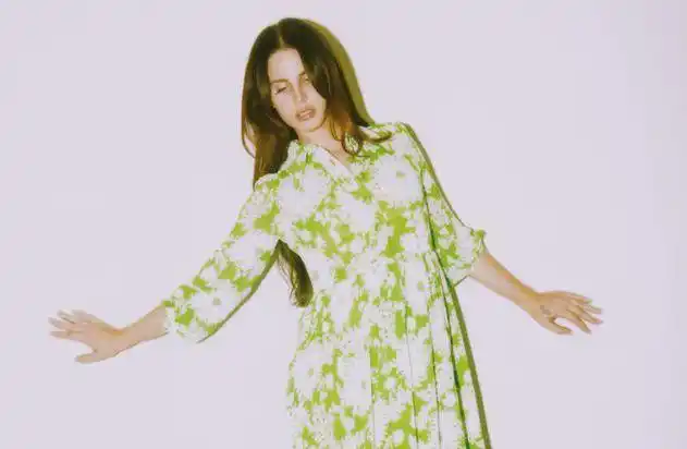 这首《venice bitch》是lana del rey早在2018年9月就发布过的单曲,这