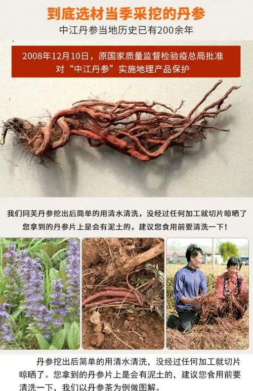 同芙野生中江丹参紫丹参片500g