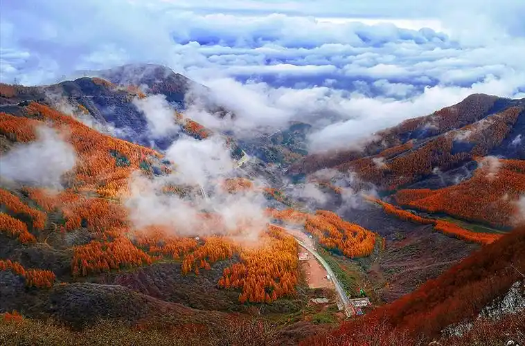 首页 专题 2020 黄河两岸是我家 图片聚焦  六盘山,中国最年轻的山脉