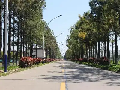 嘉兴市嘉善县惠民街道大通村