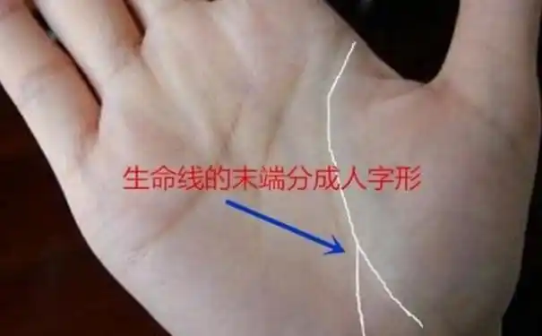 大家也都知道,因为深长的生命线代表着一个人的寿命比较长,再加上它的