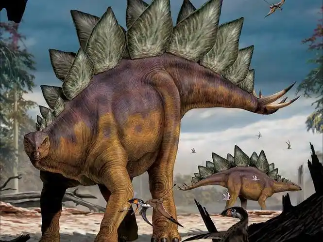 一分钟了解剑龙