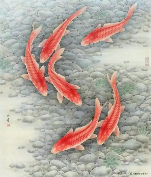 路雨年工笔鱼作品选 - 缘水禅心