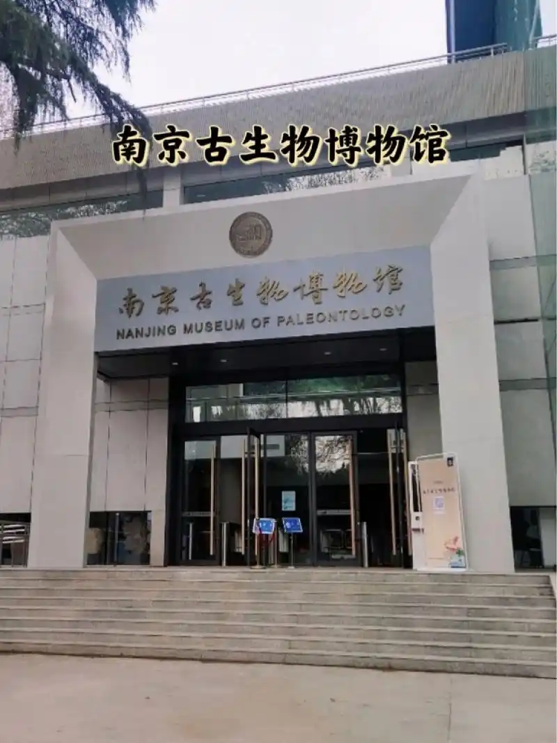 的古生物专业博物馆之一95 94南京古生物博物馆以古生物化石为本