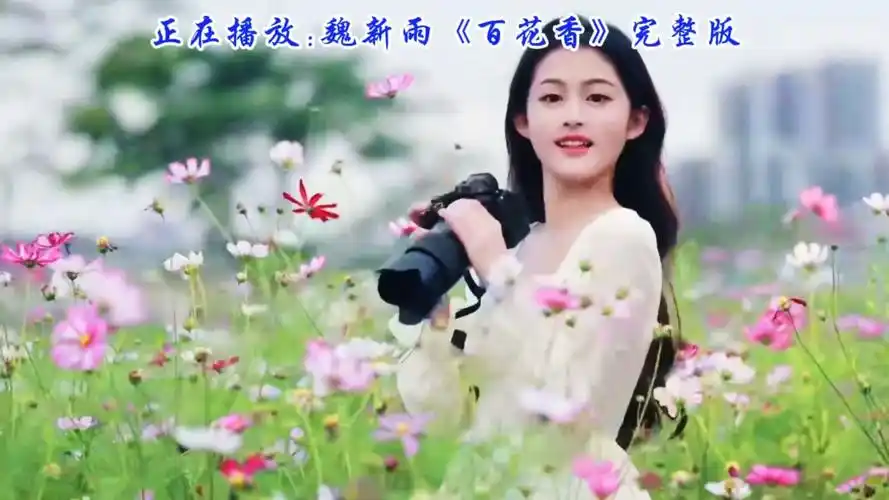 魏新雨深情献唱《百花香》老歌新唱,勾起你的美好回忆