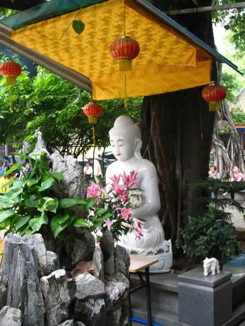 菩提树下玉观音