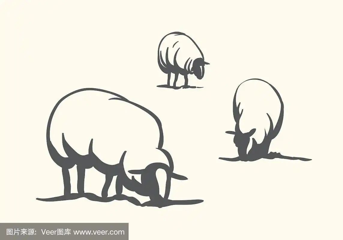 绵羊在田野里吃草的程式化插图