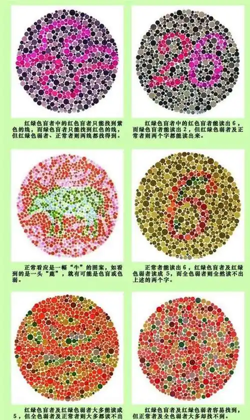 驾照体检色弱色盲怎么过的简单介绍