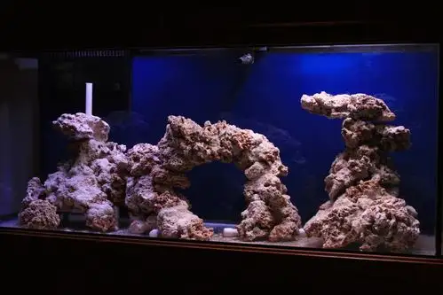 造景欣赏和探讨 - 海缸综合讨论区 - cmf海友论坛 - powered by