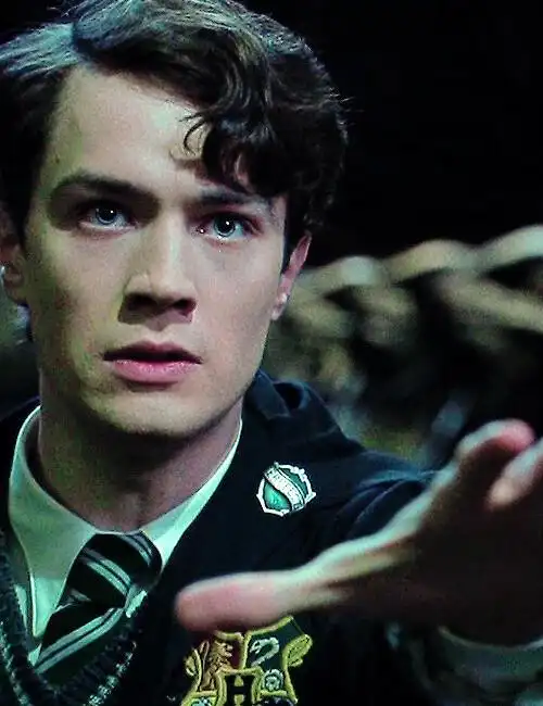 年轻时的汤姆·里德尔