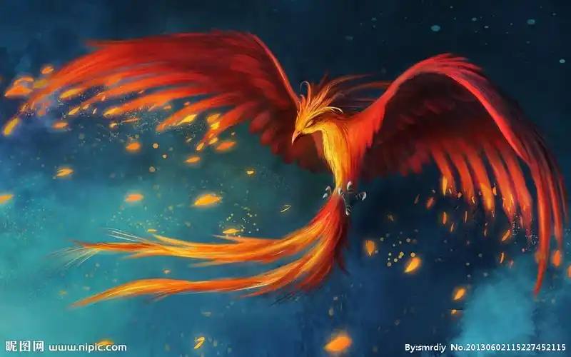 壁纸凤凰涅盘图片
