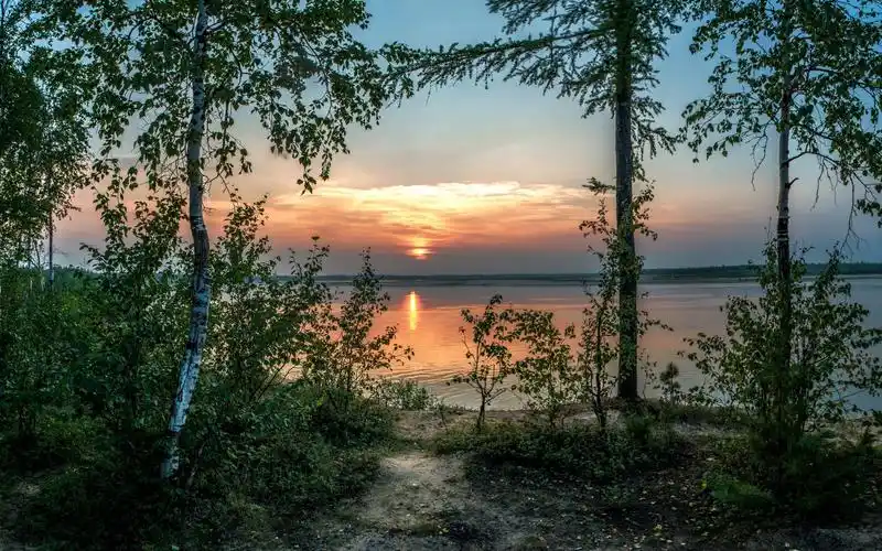 日落湖灌木丛壁纸,高清图片,壁纸,自然风景-桌面城市