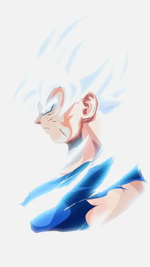 我的白神悟空吖,来一套太极?