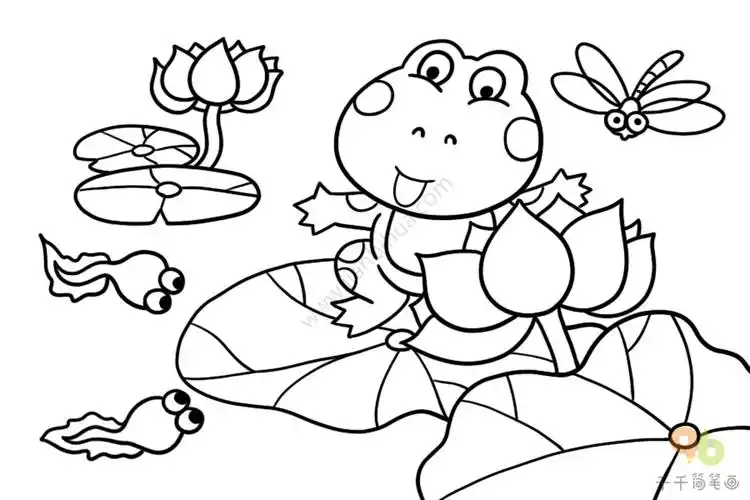 美丽的荷塘 青蛙简笔画青蛙简笔画,青蛙简笔画图片大全,荷叶简笔画