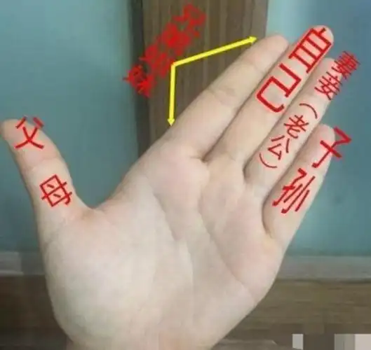 手纹算命婚姻(从手纹看婚姻状况)