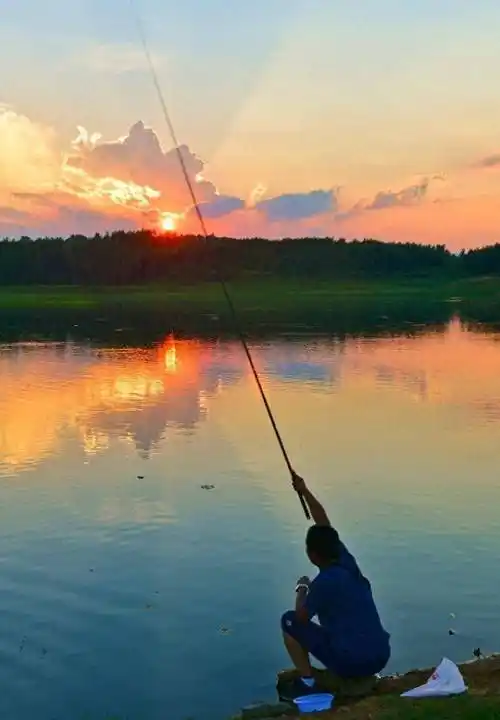 原创水草旁树荫下夏季钓鱼不放空