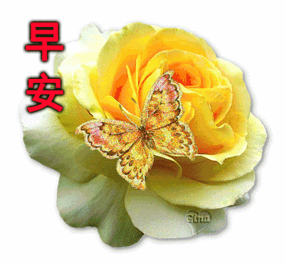 2020最新非常漂亮的早安祝福表情图片带字 早安祝福语大全简短