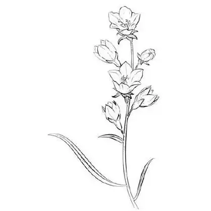 这时候,我们可以刺绣一些花花草草,简简单单的小图案啊.